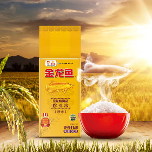 金龙鱼精萃稻米油1.5L*1KING'S特级亚麻籽油400ML*1金龙鱼御品珍珠米500g*2金龙鱼三年山西陈醋5度500mL*1金龙鱼零添加特级味极鲜500mL*1金龙鱼御品麦芯粉1KG*1 商品图4