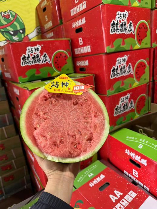 翡翠年华4K西瓜 甘肃产区 酥脆甜 商品图8