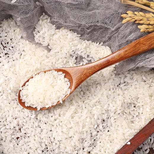 天仁道五常大米2.5kg 特等 商品图4