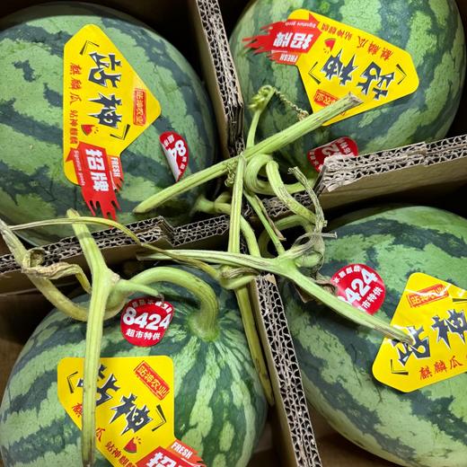 翡翠年华4K西瓜 甘肃产区 酥脆甜 商品图10