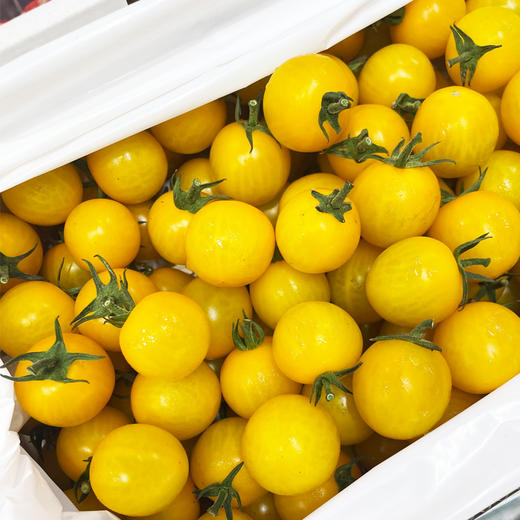 黄千禧圣女果(小礼盒）1.5kg/件 商品图1