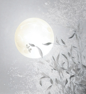 2025中秋银月亮奖