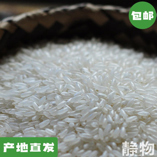 五常有机大米 2.5kg/袋【Y】｜四只瓢虫 商品图0