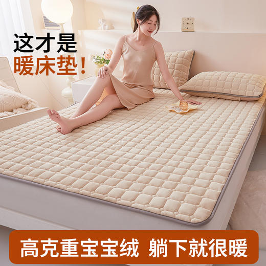自然醒高克重宝宝绒抗菌纯色床褥床护垫LN 商品图0