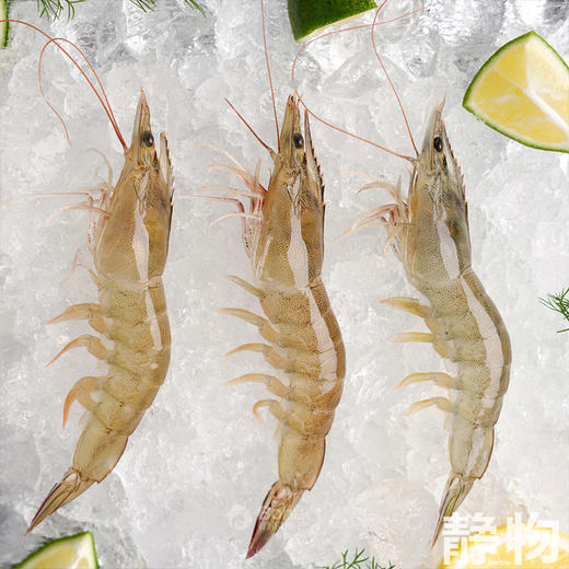 有机带头生虾400g｜山东滨州 商品图1