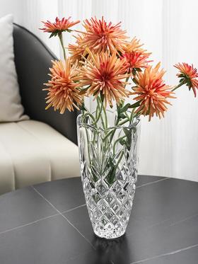 捷克原装进口水晶玻璃花瓶BOHEMIA 桌面插花摆件透明复古居家装饰波西米亚凤凰花瓶25cm