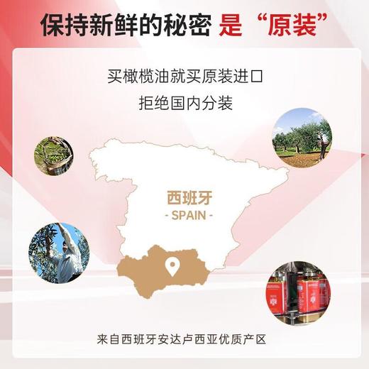 贝蒂斯 特级初榨橄榄油500ml/瓶 商品图2