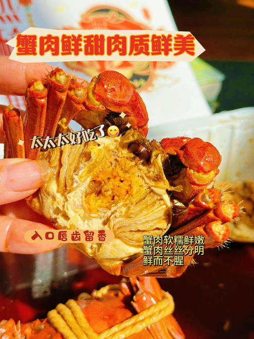 蟹之皇六月黄醉蟹 商品图9