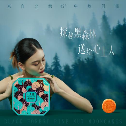 十五月黑森林松仁味月饼礼盒 商品图5