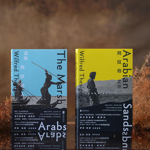 《沼地阿拉伯人》《阿拉伯之沙》 记录两次穿越空白之地沙漠传奇之旅 伊拉克沼地阿拉伯人古老生活方式旅游探险旅行文学书籍 （英）威尔弗雷德·塞西杰 著 商品图3