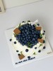 蓝莓多多 商品缩略图0
