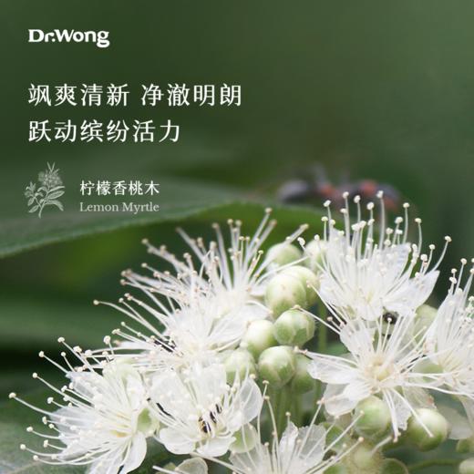 「柠檬香桃木」洗手液 商品图3