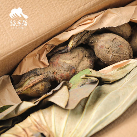 生态莲藕（脆藕/粉藕） | 合作生产 *Ecological lotus root | Partner Production 商品图1