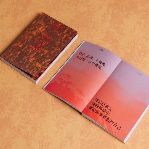 四开《孢子城市 Gap City》！对时代无法停下的焦虑提出解法，找到自己“停下”的动机和方式，或许比目的地更重要，东边野兽×一筑一事 商品图3