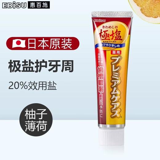 惠百施极盐加护牙膏100g 商品图0