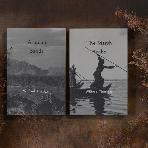 《沼地阿拉伯人》《阿拉伯之沙》 记录两次穿越空白之地沙漠传奇之旅 伊拉克沼地阿拉伯人古老生活方式旅游探险旅行文学书籍 （英）威尔弗雷德·塞西杰 著 商品图4