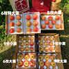 【突尼斯软籽石榴】大理山地生态果园/皮薄籽软颜色红 汁多味甜 / 坏果包赔 放心购买 顺丰包邮 商品缩略图14
