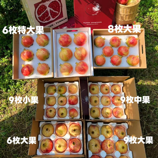 【突尼斯软籽石榴】大理山地生态果园/皮薄籽软颜色红 汁多味甜 / 坏果包赔 放心购买 顺丰包邮 商品图14