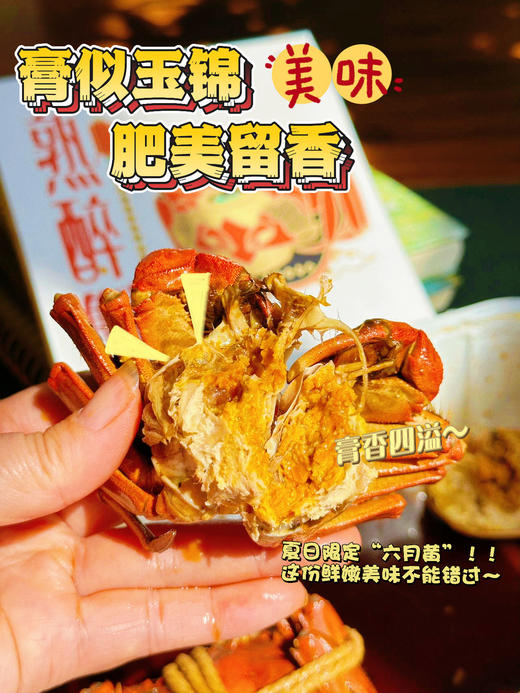 蟹之皇六月黄醉蟹 商品图7