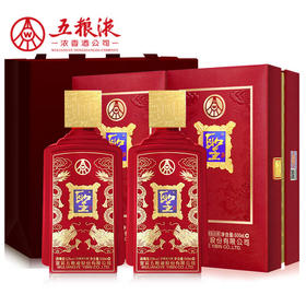 【双支配礼袋】五粮液股份 圣酒 喜临门双支 500ml*2