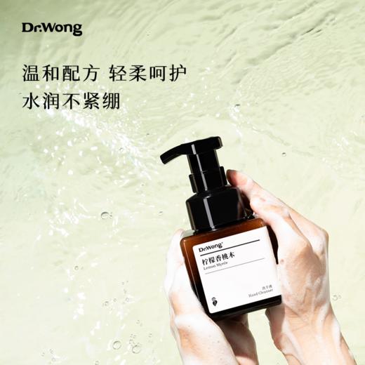 「柠檬香桃木」洗手液 商品图2
