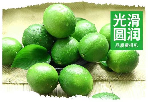FX塔希提柠檬2斤装 商品图2