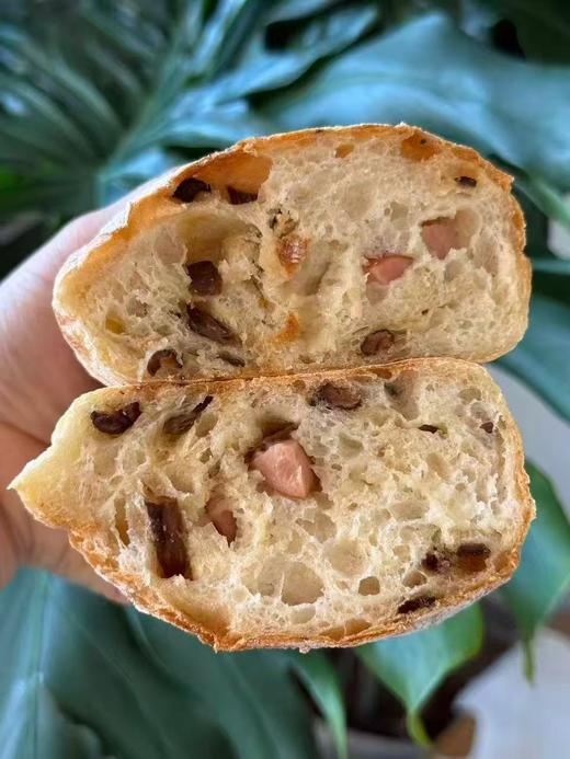 鸡枞菌烤肠恰巴塔（下午四点左右出货） 商品图1