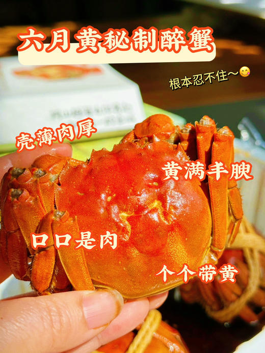 蟹之皇六月黄醉蟹 商品图0