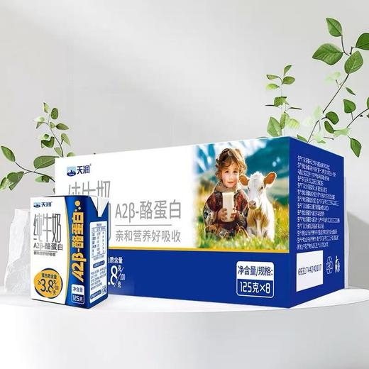 天润A2β-酪蛋白纯牛奶125ml*16盒（第二件8折） 商品图4