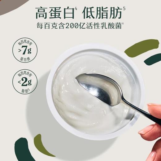 Chobani 希腊式草莓风味发酵乳 酸奶 160g 商品图3