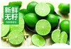 FX塔希提柠檬2斤装 商品缩略图1