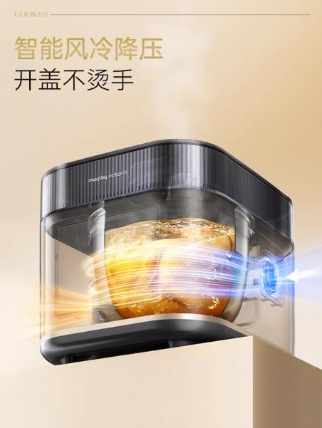 英国morphy摩飞MR8702 0涂层IH电压力锅（深空灰） 商品图3