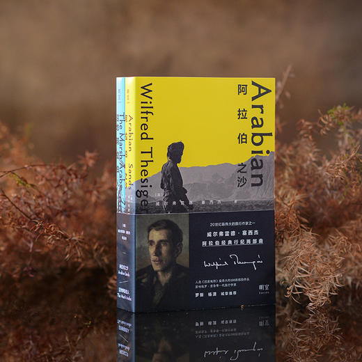 《沼地阿拉伯人》《阿拉伯之沙》 记录两次穿越空白之地沙漠传奇之旅 伊拉克沼地阿拉伯人古老生活方式旅游探险旅行文学书籍 （英）威尔弗雷德·塞西杰 著 商品图2