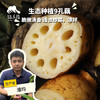 生态莲藕（脆藕/粉藕） | 合作生产 *Ecological lotus root | Partner Production 商品缩略图0