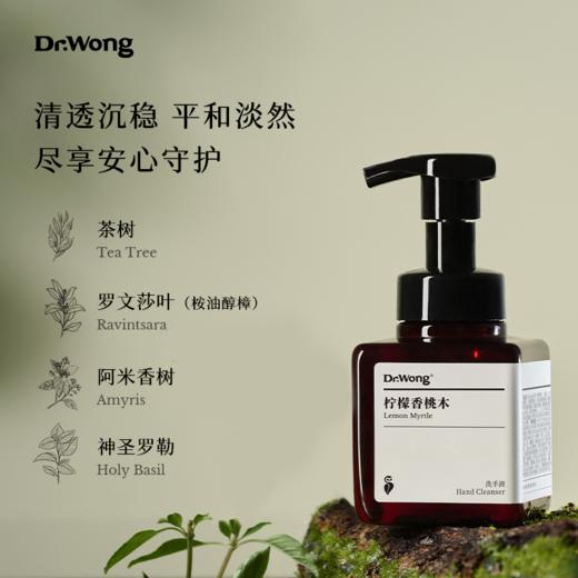 「柠檬香桃木」洗手液 商品图4