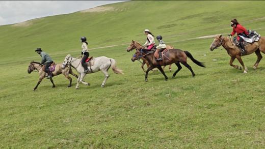 「金秋牧歌、童话秘境」-坠入内蒙草原的鎏金之梦! 商品图6