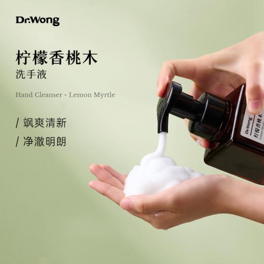 「柠檬香桃木」洗手液 商品图0