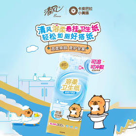 清风牌卫生纸300抽