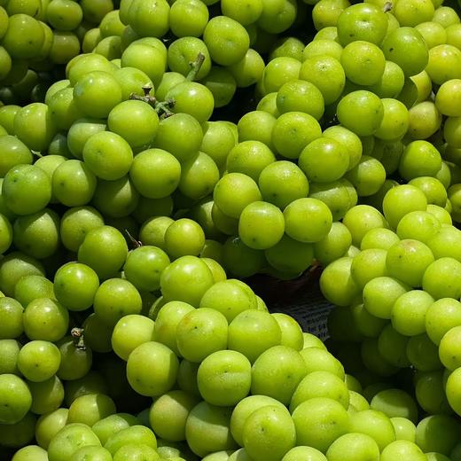 使用均为新鲜水果（多图） 商品图4