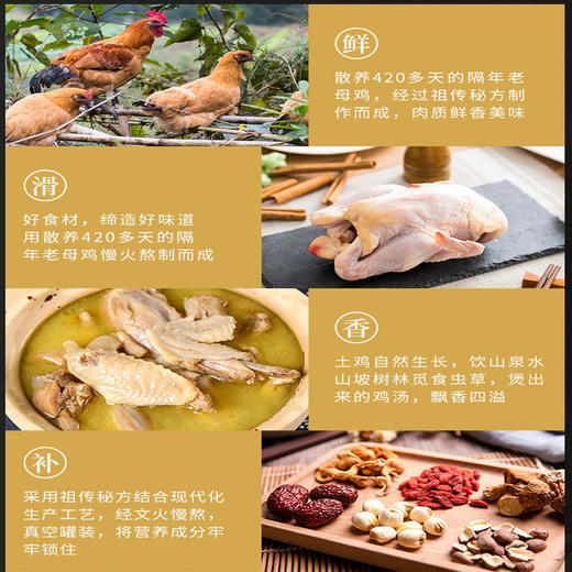 【严选】【农家散养土鸡 无抗生素无重金属无药物残留】汪集土鸡汤 慢火熬制 鸡汤浓厚 每一块鸡肉都鲜嫩入味 营养滋补650g/1300g（厂家直发） 商品图3