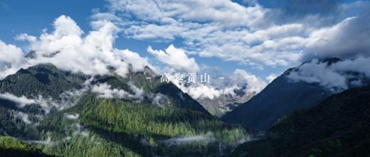 【省内秋假 | 5天4晚】自然秘境·高黎贡：在神奇的高黎贡山，开启5天自然与人文的奇遇（大小同价） 商品图2