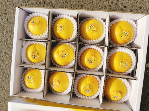黄金蜜桃一箱 商品图1