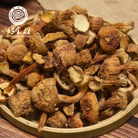 CY-云南高原姬松茸