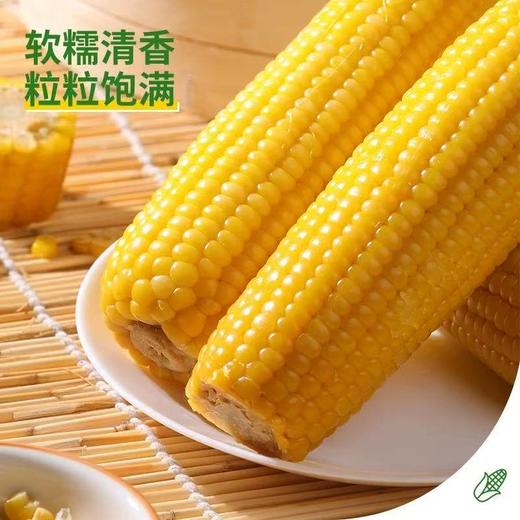 老爷岭甜糯花玉米200g 商品图2