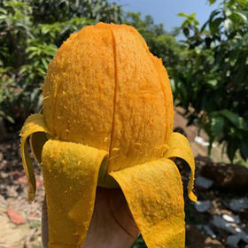 凯特芒果.一级精品礼盒👍5公斤礼盒