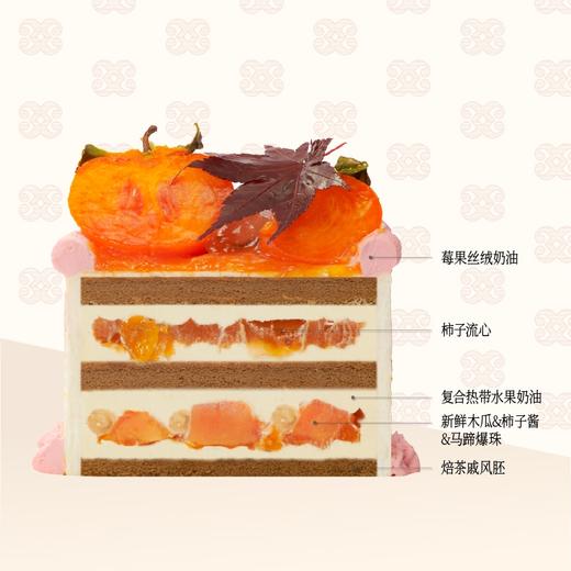 ⚜️海岸柿光 商品图1