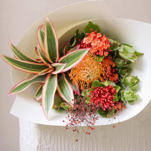 甜熟交响 Sweet Sonata 商品图0