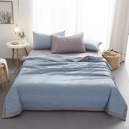 【多样屋专柜】悠梦嘉居A类全棉棉花夏被空调被200*230cm 商品图2