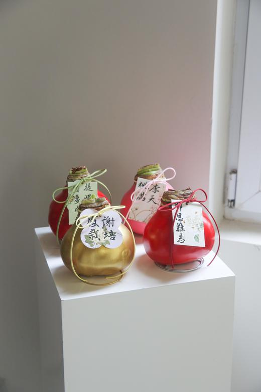 荷兰进口石蜡朱顶红 商品图7