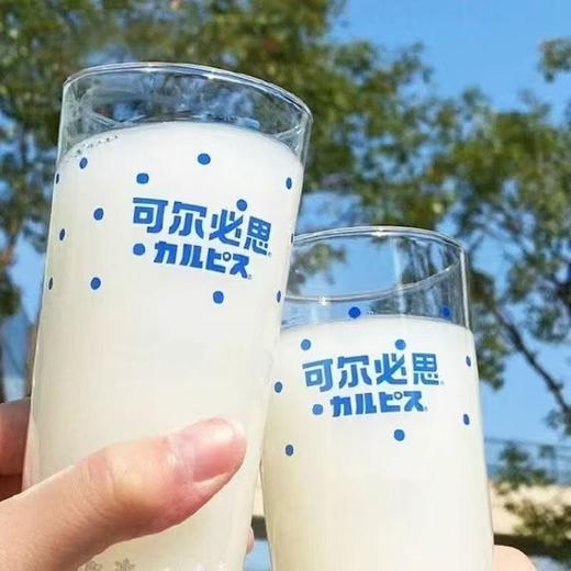 可尔必思乳酸菌风味饮料280ml*10 商品图6